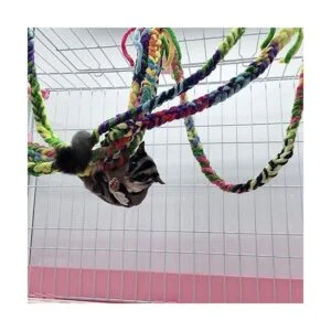 RIOUSSI Juguetes de azúcar hechos a mano para_4