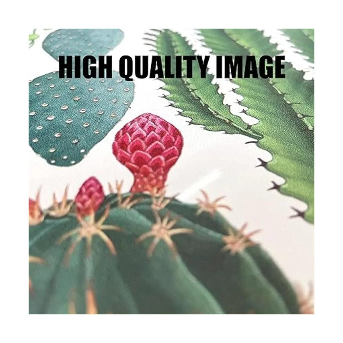 BEASTZHENG Divertido Cocina Familiar Receta Metal Estaño_5