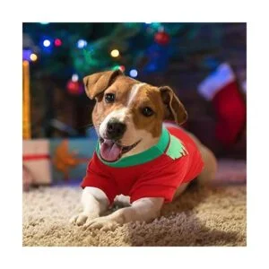 HYLYUN Paquete de 2 camisas de Navidad para perros_5