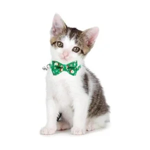Malier Collar de gato con patrón de copo de nieve de_6