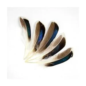 50 plumas naturales para manualidades de 10 a 5.9 in para_3