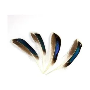 50 plumas naturales para manualidades de 10 a 5.9 in para_2