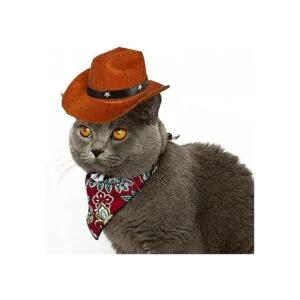 AWOCAN Sombrero de vaquero para mascotas para cachorros_2