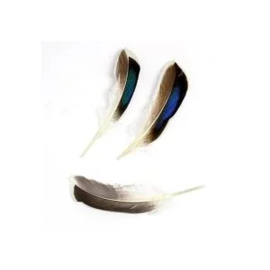 50 plumas naturales para manualidades de 10 a 5.9 in para_4