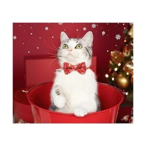 Malier Collar de gato con patrón de copo de nieve de_2