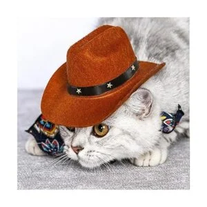 AWOCAN Sombrero de vaquero para mascotas para cachorros_3