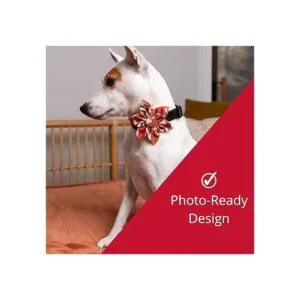 Huxley Kent Molinillo para mascotas Latte de especias_4