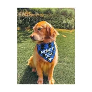 YHTWIN Bandanas de perro de algodón a cuadros azules de_2