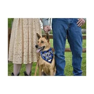 YHTWIN Bandanas de perro de algodón a cuadros azules de_4