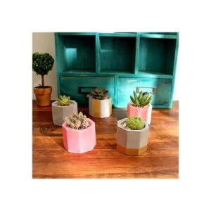 2 moldes de silicona para macetas de flores plantas_6