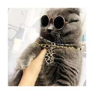 4 unids gato gafas de gato cadena oro corbata y sombrero_4