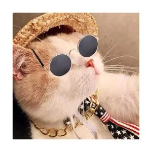 4 unids gato gafas de gato cadena oro corbata y sombrero_2