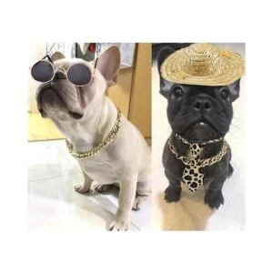 4 unids gato gafas de gato cadena oro corbata y sombrero_6