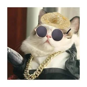 4 unids gato gafas de gato cadena oro corbata y sombrero_5