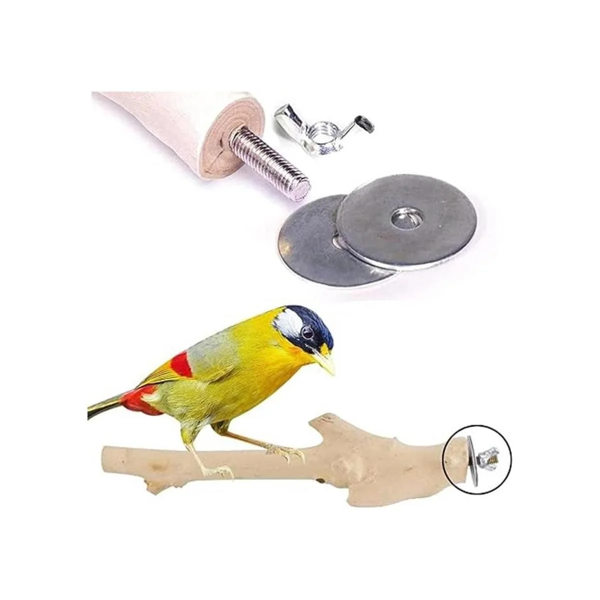 Soporte para alimentador de jaula de pájaros accesorios_4