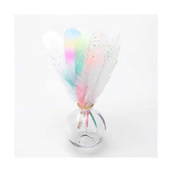 Paquete de 50 piezas de 5 estilos de plumas de ganso_2