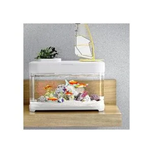 Piutouyar 2 decoraciones de coral de abanico de mar rama_7