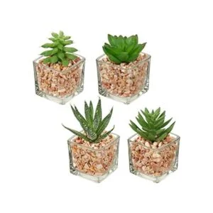 Briful Suculentas falsas plantas artificiales en maceta_1
