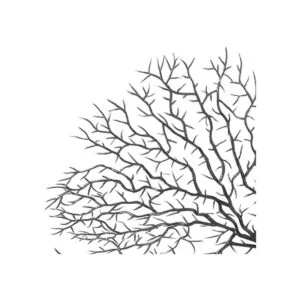 Piutouyar 2 decoraciones de coral de abanico de mar rama_3