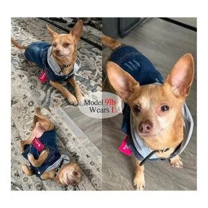 Ropa para mascotas chaqueta de mezclilla azul fresco con_3