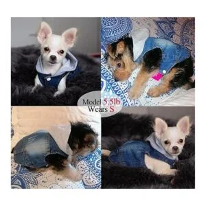Ropa para mascotas chaqueta de mezclilla azul fresco con_5