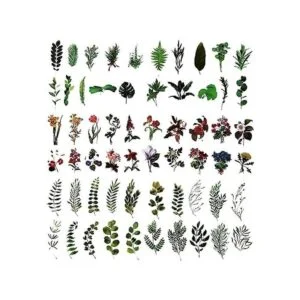 MAXLEAF 120 calcomanías vintage de plantas y flores para_1