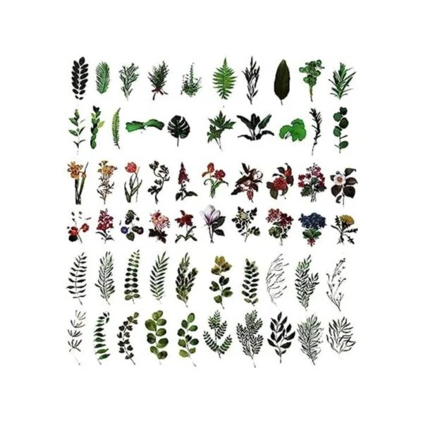 MAXLEAF 120 calcomanías vintage de plantas y flores para_1