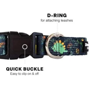 Downtown Pet Supply Collar de perro mejor lindo y_3
