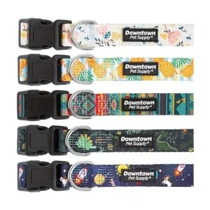 Downtown Pet Supply Collar de perro mejor lindo y_6