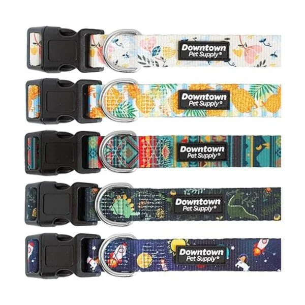 Downtown Pet Supply Collar de perro mejor lindo y_6