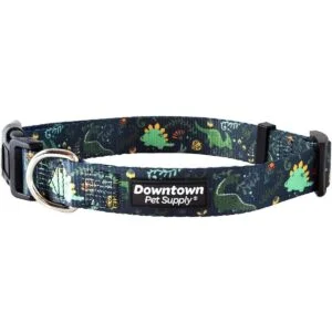 Downtown Pet Supply Collar de perro mejor lindo y_1
