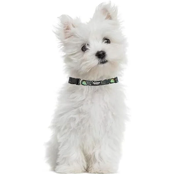 Downtown Pet Supply Collar de perro mejor lindo y_4