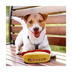 NCAA Plush Dog CAT Squeak Toy_5