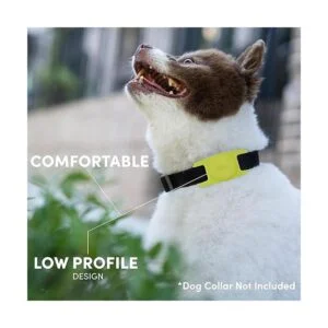 CaseMate AirTag Funda protectora para collar de perro_2