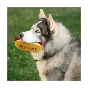 NCAA Plush Dog CAT Squeak Toy_4