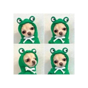 Frieyss Lindo suéter verde con capucha para perro disfraz_7