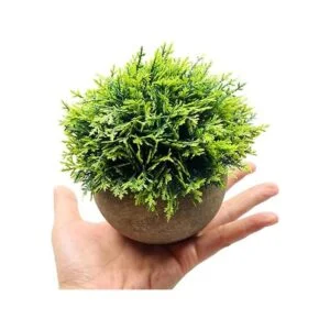 Svenee Mini plantas de cedro de ciprés falsas para baño_2