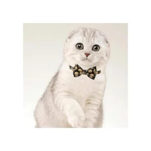 EGATHER Collar de gato con campana collar de seguridad_6