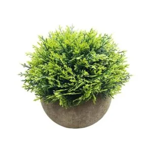 Svenee Mini plantas de cedro de ciprés falsas para baño_1