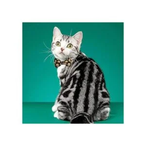 EGATHER Collar de gato con campana collar de seguridad_5