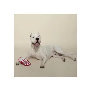 Fringe Studio Plush Dog Toy Durable Yummy Treats_2