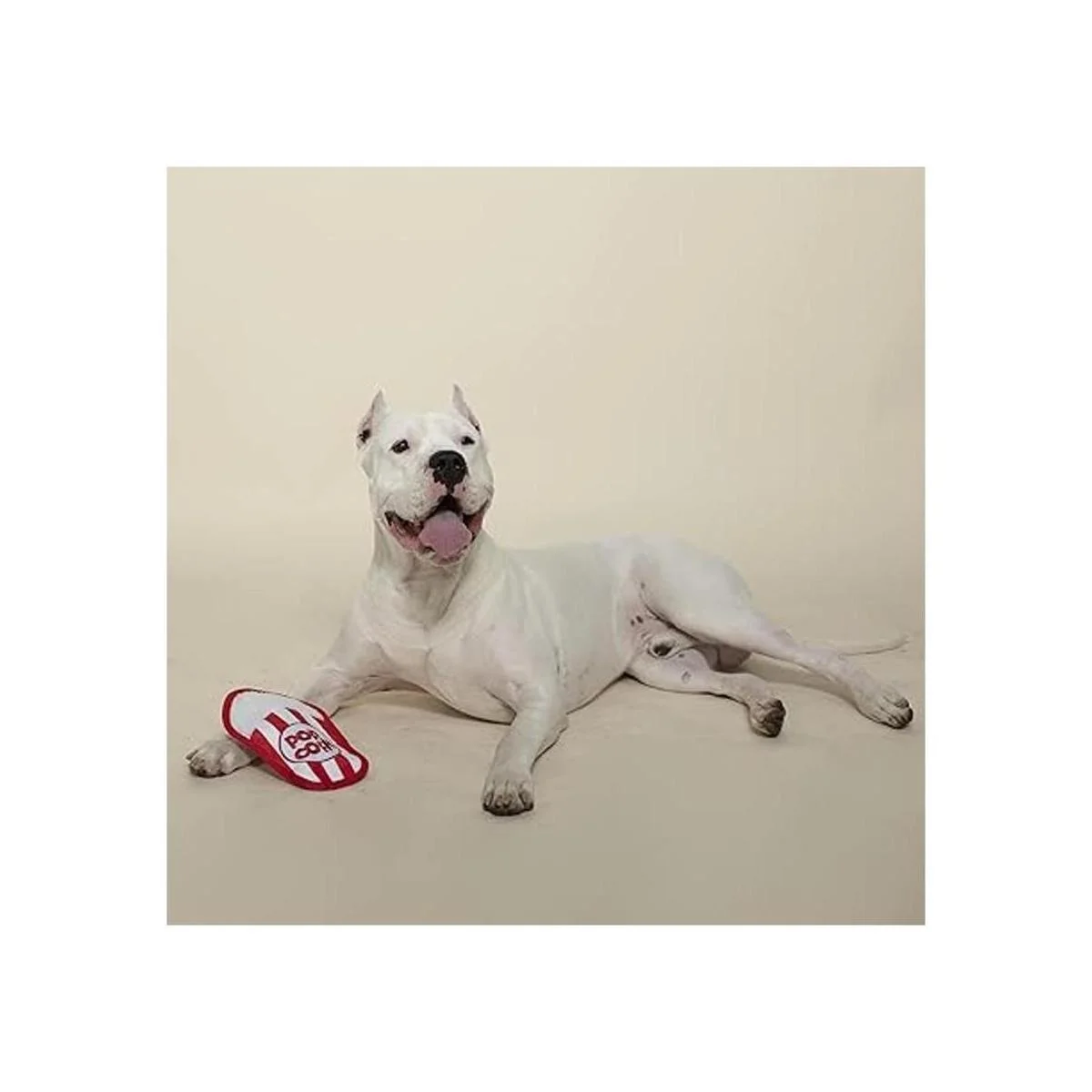 Fringe Studio Plush Dog Toy Durable Yummy Treats_2