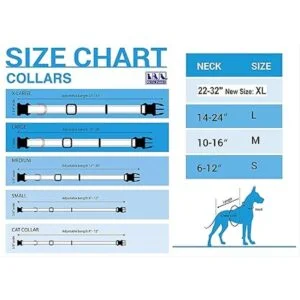 Collar de gato ajustable para gatos con nombre y logotipo_2