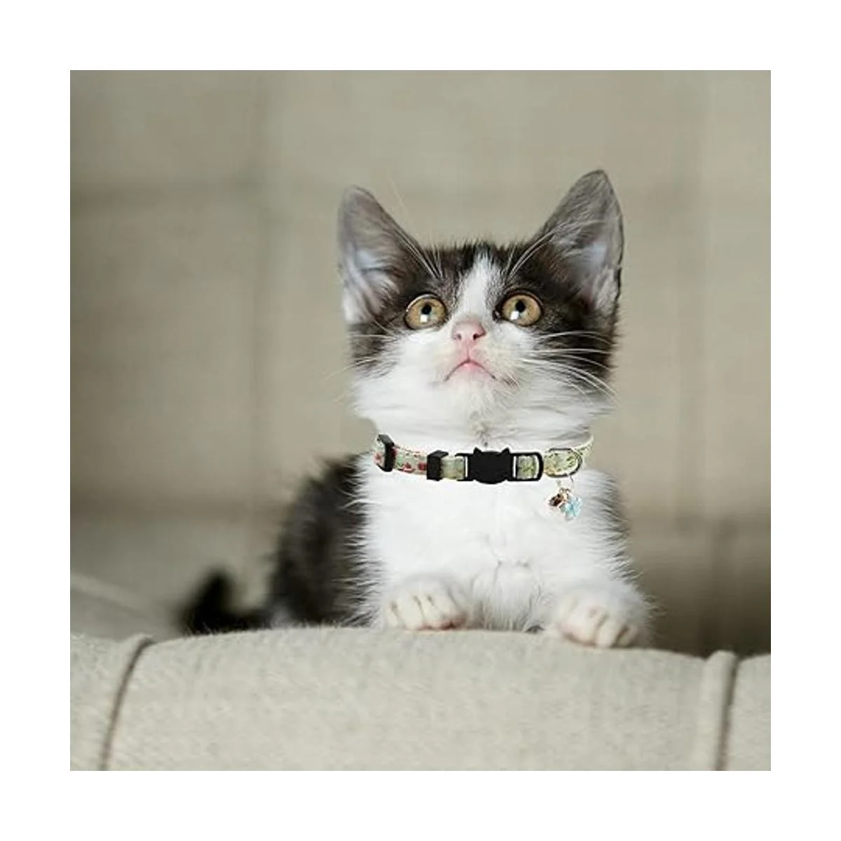 3 collares de gato con campana y accesorios patrón de_3