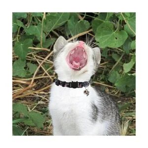 3 collares de gato con campana y accesorios patrón de_4