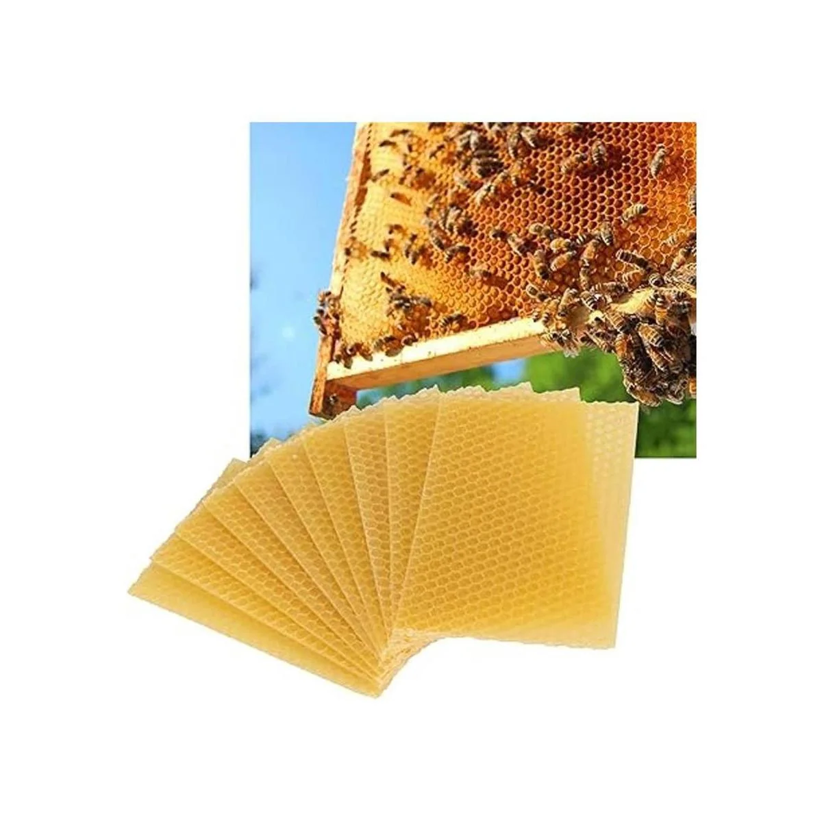 Juego de 10 hojas de cera de abeja natural de cera de_4