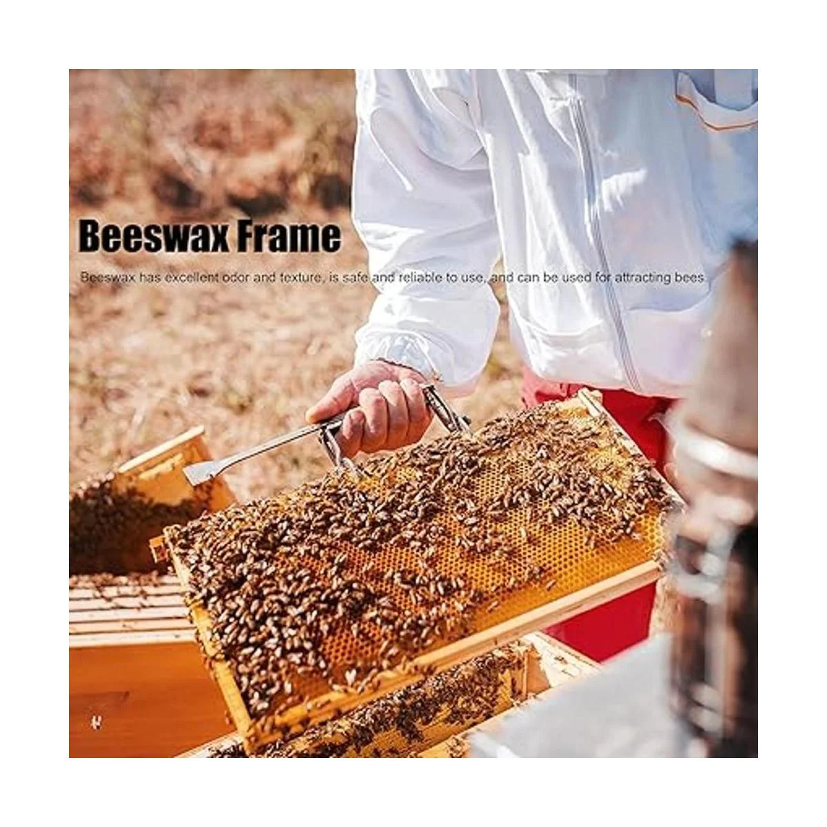 Juego de 10 hojas de cera de abeja natural de cera de_2