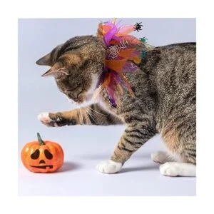 cyeollo 2 Pack Dog Collar Elastic Adjustable Halloween_5