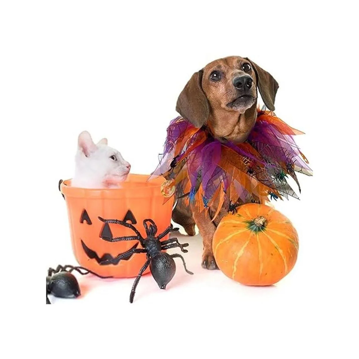 cyeollo 2 Pack Dog Collar Elastic Adjustable Halloween_3