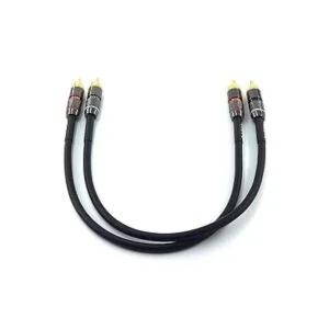 WJSTN Cable RCA a RCA de audio estéreo de 1 pies cable_2